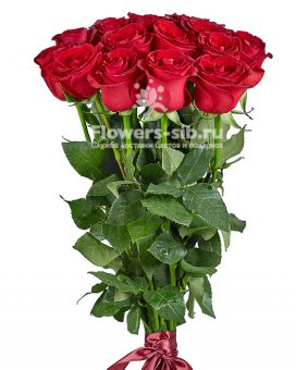 Premium Red Roses