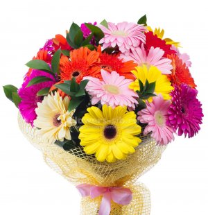 25 Gerberas